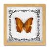Marco de Fotos con Foto de Espécimen de Mariposa Real Pintura Decorativa Europea y Americana Marco de Fotos Retro DIY Decoración de Mesa para el Hogar Regalo de Cumpleaños Regalo