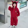 Conjunto de Ropa de Primavera para Niños, Nueva Sudadera con Capucha Genial y Elegante para Niños, Ropa Deportiva Coreana para Niños Pequeños de Primavera y Otoño
