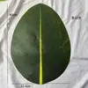 Hoja de Loto Simulada Plástico Hoja Verde Tienda de Frutas Decorativa Alfombrilla Antideslizante Mariscos Auto-Servicio Salvamanteles Papel Plato Frío Hoja de Plátano