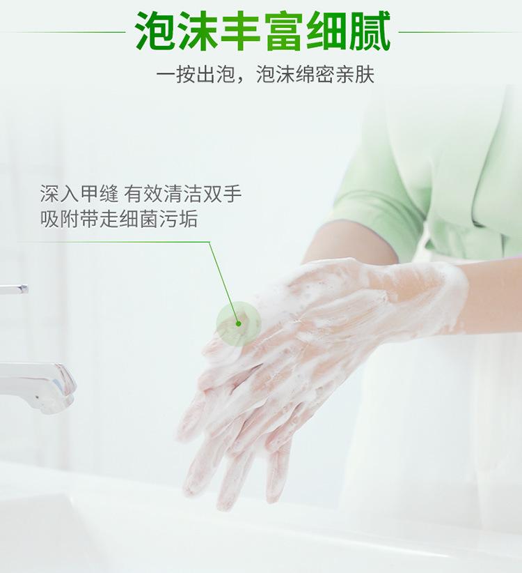 【0815更新】芦荟泡沫抑菌洗手液750_12