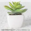 Maceta combinada de bonsái de cerámica con suculentas simuladas personalizadas, adornos de plantas verdes, decoración de oficina, escritorio, hogar, plantas verdes en maceta