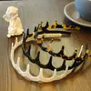 Diadema Shangxuan de Acetato con Dientes de Onda Grande para Mujer, Simple Diadema de Alta Corona para Recoger el Cabello con un Accesorio de Lujo Esponjoso de Doble Uso