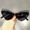 Nuevas Gafas de Sol Retro Cat-Eye con Bloques de Color Exagerados, Estilo Hip-Hop y Diseño Único para Fiestas y Reuniones