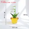 Vidrio Zibo Hecho a Mano Integrado Planta en Maceta Pequeña Montaje en Coche Decoración de Escritorio de Oficina Artesanías Adornos Venta al por Mayor Transfronteriza