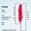 Capim Grande Vietnamita Flor Seca de Yunnan Buquê Decoração Fofo Fotografia de Casamento Paisagismo de Teto a Chão Flor Imortal Natural