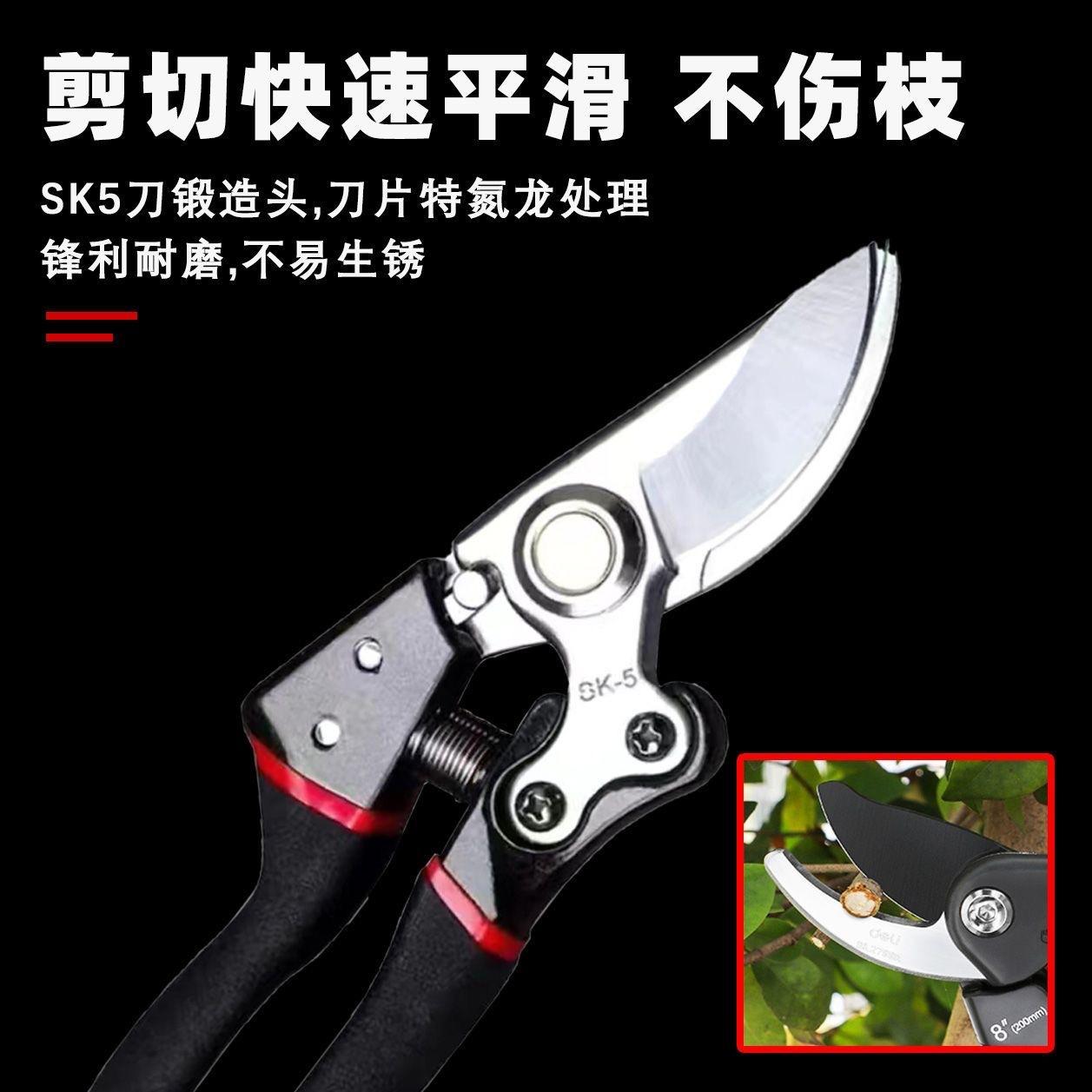 1df954e091010091b8347bb1aa0924