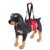 Cinto Auxiliar Pós-Cirúrgico para Cães Mais Vendido Transfronteiriço Proteção para Reabilitação Caminhada Conveniente Cinto para Proteção da Cintura para Cães Idosos e Cinto para Cães