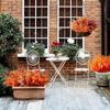 Outono simulação artificial plástico Persian bundle decoração de casa de outono ornamentos de plantas em vaso de quintal combinação transfronteiriça