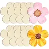 Artesanías de Madera Transfronterizas Decoraciones de Pascua Huevo DIY Embrión Blanco Pieza de Madera para Grafiti Pintada por Niños Colgante Pequeño