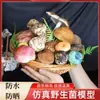 Modelo de Hongo Hongo Silvestre de Yunnan Espécimen Falso Adorno Decoración Escena Montaje Accesorios para Disparar Matsutake