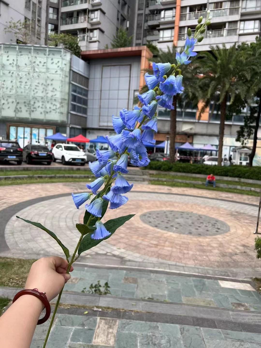 微信图片_20240818143635.jpg