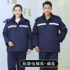 Ropa de Algodón Antiestática de Invierno para Hombres y Mujeres, Sitio de Construcción, Almacén Frío, Chaqueta de Algodón Engrosada Resistente al Desgaste, Ropa de Trabajo, Cálida, Chaqueta de Ropa de Protección Laboral