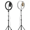 Luz de Relleno LED para Fotografía de 12 Pulgadas, 15W, Anillo de Luz para Transmisiones en Vivo, Luz de Relleno para Belleza