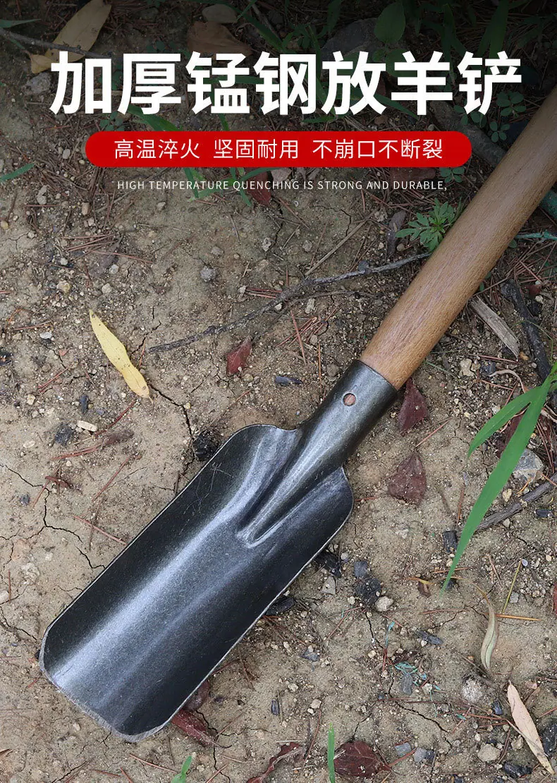 详情_01.jpg