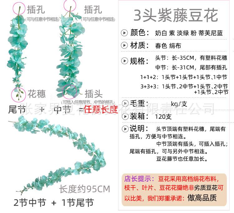 3头豆花紫藤_08.jpg