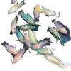 Pez Aohuo Pu Se Puede Cambiar Sin Usar Betta Chino, Pez Ornamental de Horquilla Azul China, Alevines de Pez Pu Gigante, Peces de Agua Fría Son Fáciles de Criar, Otros