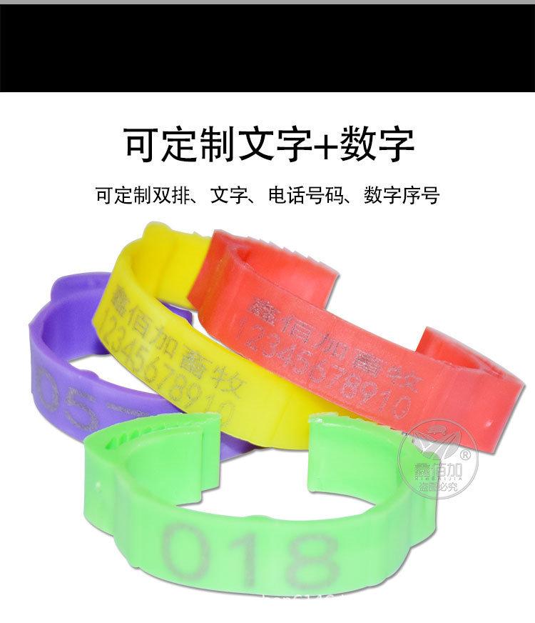 鸡脚环可调CA详情页 (3).jpg