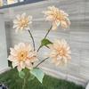 4 cabeça desejo dália flor artificial decoração de casamento flor falsa atacado fábrica