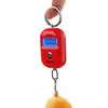 Weiheng Wh-A21 Venta Directa del Fabricante Original 25kg Pinduoduo Balanza Colgante Pequeña Balanza de Gancho Mini