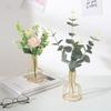 Estilo nórdico ins jarrón de metal de hierro forjado contenedor hidropónico tubo de ensayo decoración creativa para el hogar arreglo floral venta al por mayor transfronteriza