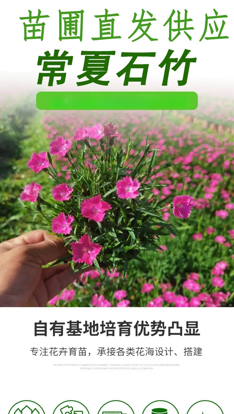 详情页_01