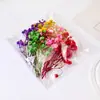 Transfronterizo dedicado a ramo pequeño DIY, gota de pegamento, relleno, flor real, estrella por todo el cielo, hortensia, flor inmortal, bolsa de materiales de un millón de estrellas