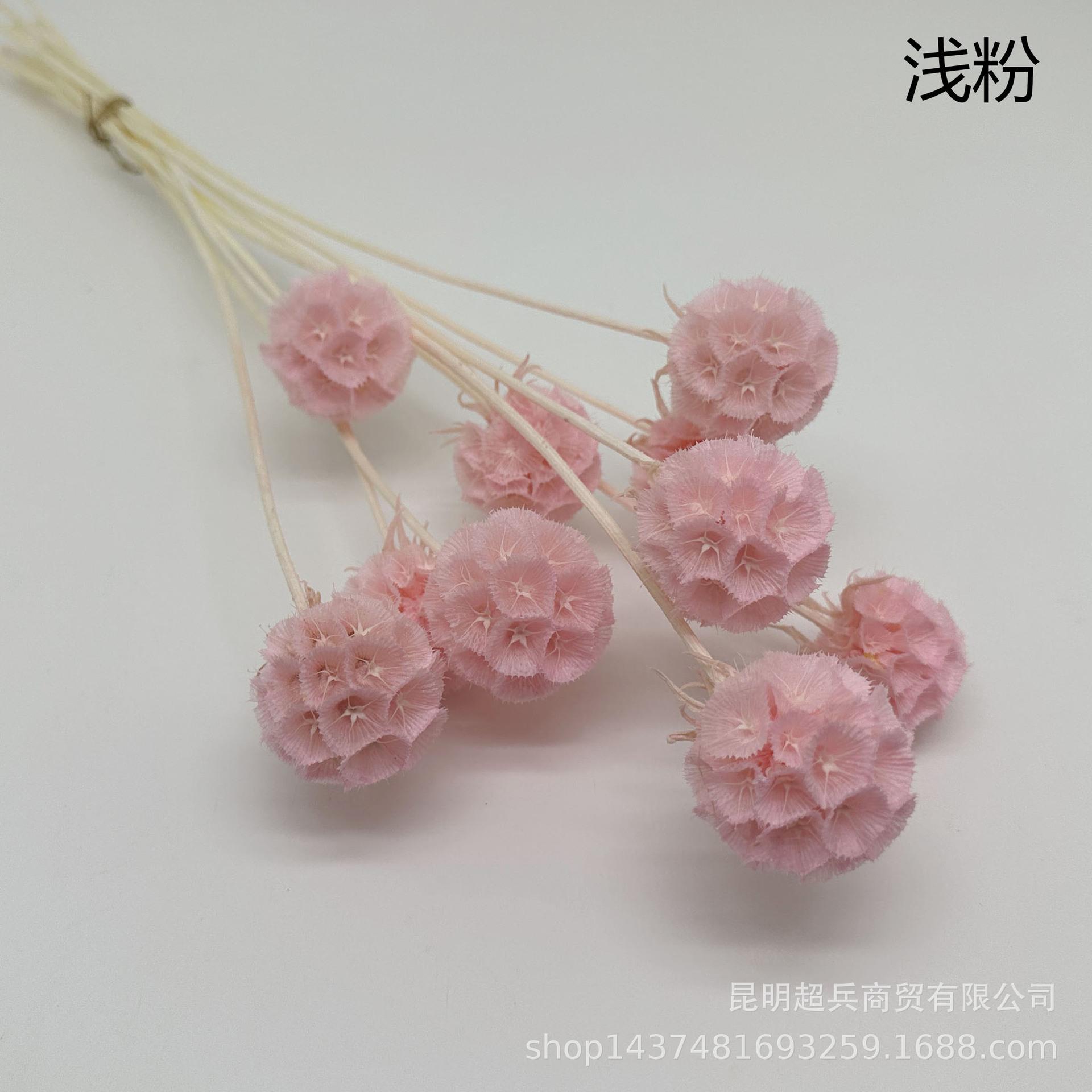 2浅粉.jpg