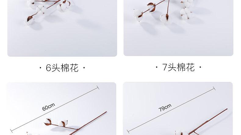 企业微信截图_16541519121840_05