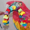 Bloques de construcción de colores para loros pequeños y medianos, cuerda para roer, escalera de colores para trepar, escalera de columpio colorida, cuerda de cuatro esquinas