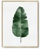 Pósters de Arte de Pared Hojas Verdes Tropicales Boho, Imágenes de Impresión Botánica de Palma Monstera para Sala de Estar Decoración del Hogar