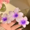 Presilha de Cabelo Flor Plumeria Popular Transfronteiriça, Acessório de Cabelo de Verão Colorido e Estiloso, Enfeite de Cabelo Versátil Tipo Pinça Tubarão Venda por Atacado