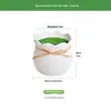 Vendas Diretas da Fábrica Simples Criativo Imitação Porcelana Vasos de Flores de Plástico Redondos Espessos Vasos de Flores Conjunto de Flocagem de Plástico Vasos de Flores Atacado