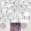 Decoraciones para Uñas Pedrería de Cristal Pedrería Redonda de Fondo Plano de Alta Calidad Pedrería con Base Plateada de Alto Brillo Pedrería de Cristal para DIY Accesorios de Uñas Portátiles