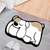 Cross-border Imitação Cashmere Home Mat Tapete de entrada WC Casa de banho Cartoon Absorvente Anti-derrapante Tapete de Pé de Banheiro