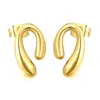 Pendientes Retro Irregulares de Nicho de Alta Gama Transfronterizos Pendientes Estilo Ins Acero Inoxidable Pendientes Elegantes Personalizados Joyería