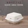 Caja de Pastel Desechable Estilo Ins Moderna Bento Postre Tiramisú Hamburguesa Pintada a Mano Para Llevar Caja para Salida de Primavera Picnic