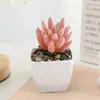 Mo Chu ventilador de simulación cuadrado flocado carnoso traje pequeño al por mayor decoración del hogar exhibición Amazon más vendidos plantas en maceta