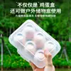 Caixa portátil para armazenamento de ovos de acampamento ao ar livre alta à prova de choque à prova de estilhaços caixa de ovos frescos empilhável pequeno porta-ovos