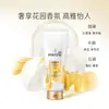 Acondicionador Pan Ting para mujer 200g reparación seco encrespamiento aminoácidos crema hidratante esencia reparadora venta al por mayor