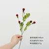 Flor de Cardo Pequeño Artificial, Tallo Corto de Plástico Pintado en Spray Tallo Único Flor Silvestre Pequeña, Cardo Silvestre Pequeño de Colores para Decoración de Paisajismo, Accesorios y Materiales Florales