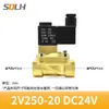 Válvula de solenoide neumática de 2 vías y 2 posiciones 2V025-08 válvula de control AC220V DC12V DC24V válvula normalmente cerrada