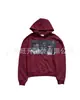 Estilo Gótico Oscuro Estampado Y2K Retro Americano Punk Subcultura Moda Holgada Casual High Street Sudadera con Capucha
