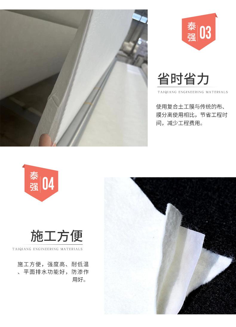复合土工膜_04.jpg