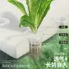 Estanque de peces hidropónico verdura flotante tablero de plantación cultivo sin suelo equipo de cultivo de agua verdura de plantación de agua cultivo en agua tablero de espuma de plantación con agujeros