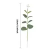 Simulación Hoja de Dinero Única Planta Verde Eucalipto Ins Mori Boda Arreglo Floral Accesorios Decoración del Hogar Hojas Falsas