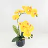 Orquídea Phalaenopsis Artificial 12 Flores em Vaso para Decoração de Home Office Ornamento de Mesa Interno Planta Verde Artificial com Simulação de Filme
