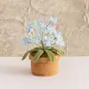 Adornos Caseros Tejidos a Crochet de Nomeolvides en Maceta Terminados Transfronterizos Flores Tejidas de Lana Flores Artificiales Macetas de Escritorio