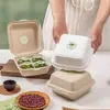 Caja de Empaque para Dumplings Verdes, Caja de Regalo para Dumplings Verdes, Lonchera para Picnic de Primavera, Caja para Postres de Hojaldre para Camping