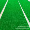 Alfombra de Plástico de Material Nuevo Puro Césped Artificial Falso Alfombra Césped Plástico Tapete para Pies Doméstico Impermeable Tapete para Piso Césped de Plástico