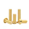 Tornillos de Cabeza Semiredonda Hexagonal de Latón Din7380 Tornillos de Cabeza Redonda tipo Copa Champiñón de Cobre M3M4M5M6M8M10